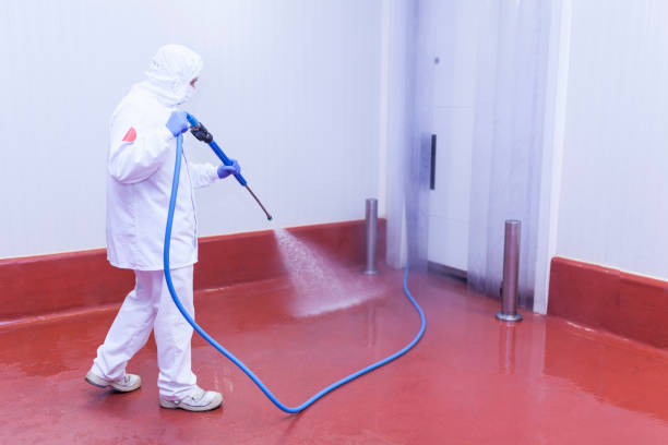 Best Driveway Pressure Washing  in Lemoore, CA